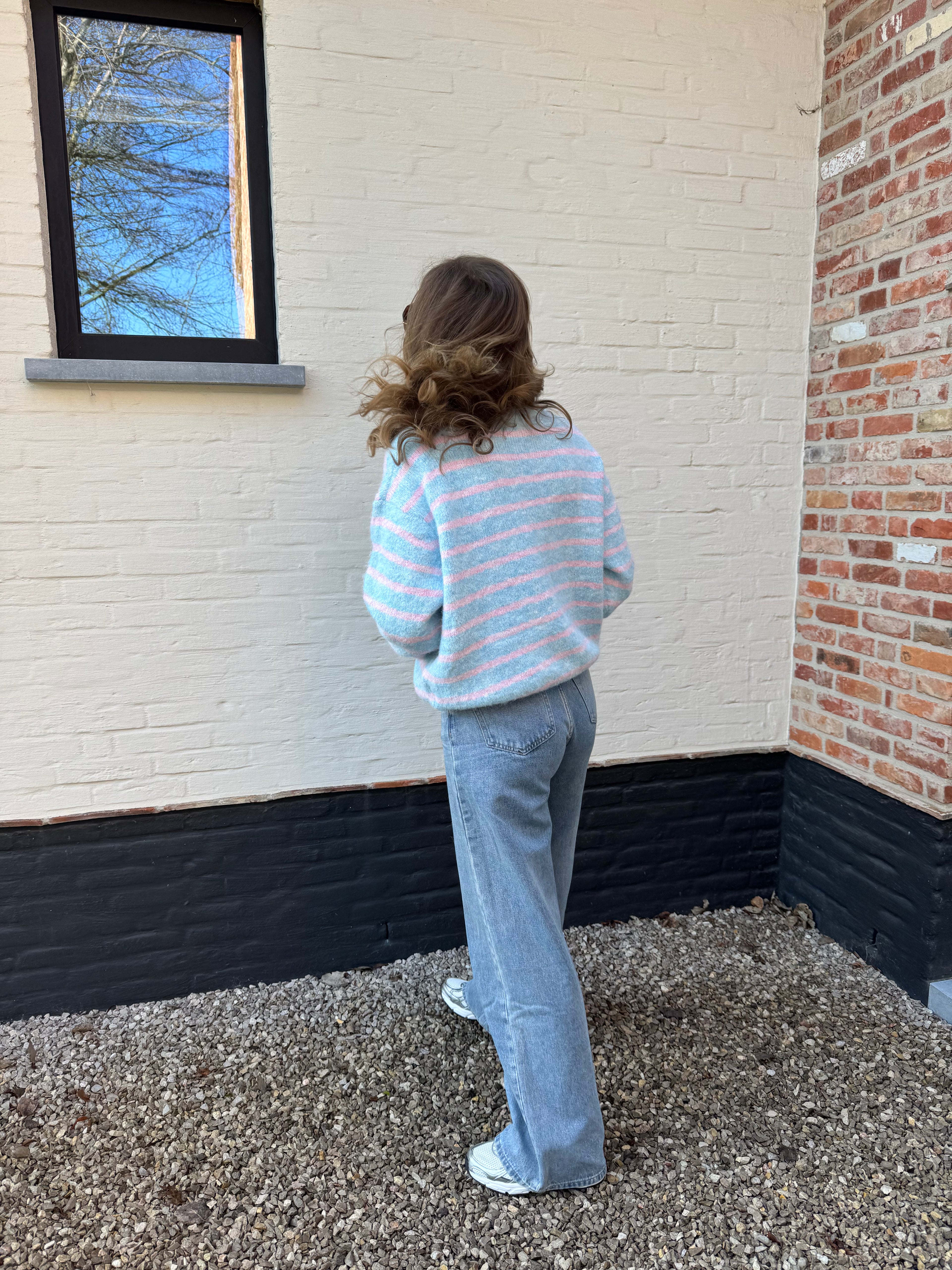 Alfie striped knit blauw/roze